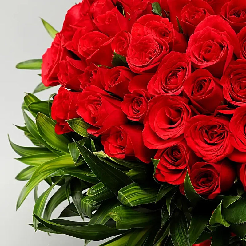 200 Red Roses Bouquet Luxury Romantic Gift | GiftingBD